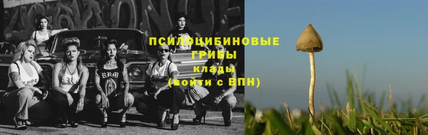 ГАЛЛЮЦИНОГЕННЫЕ ГРИБЫ Хадыженск