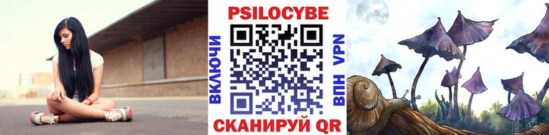 Купить закладки  Шумиха  Галлюциногенные грибы GOLDEN TEACHER 